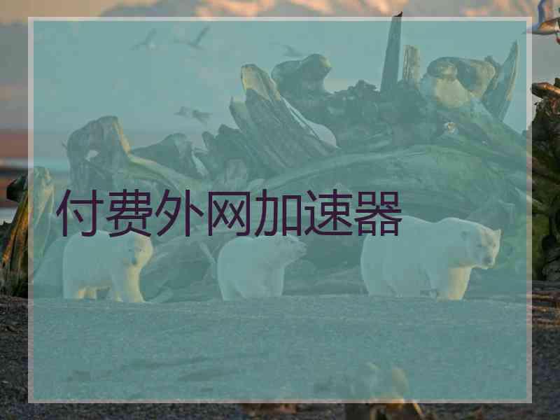 付费外网加速器