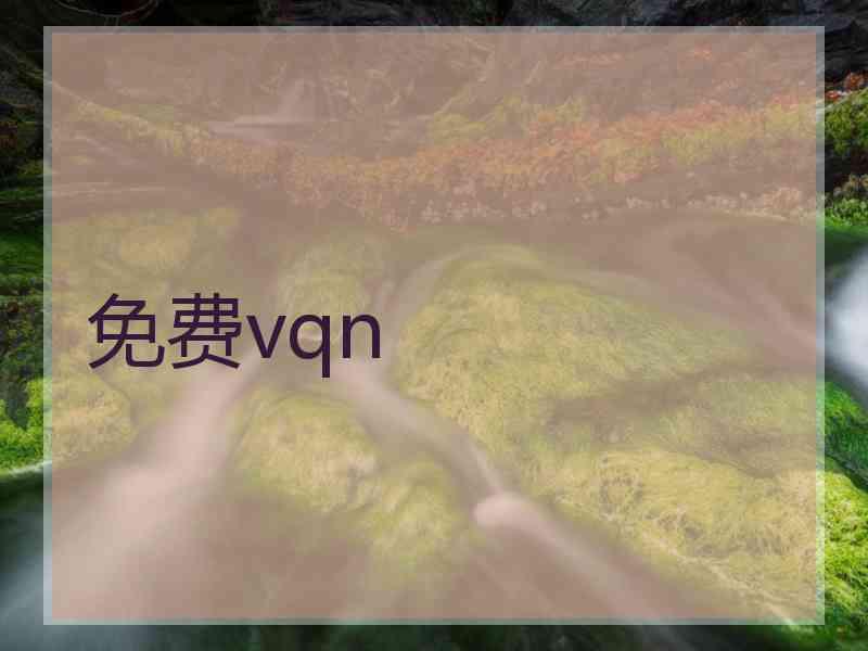 免费vqn