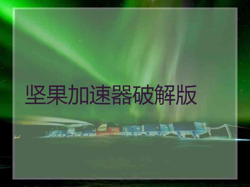 坚果加速器破解版