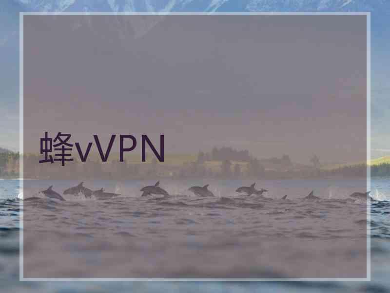 蜂vVPN