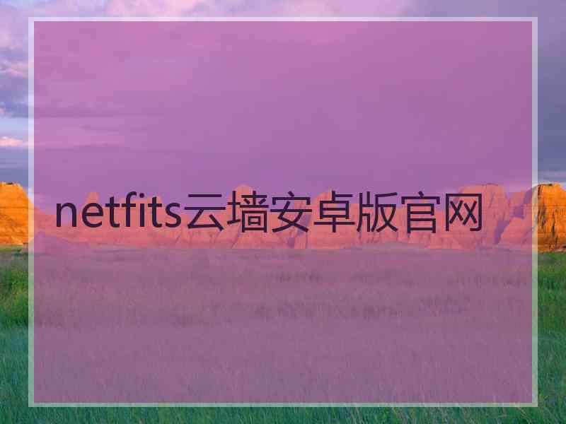 netfits云墙安卓版官网