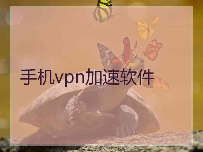 手机vpn加速软件