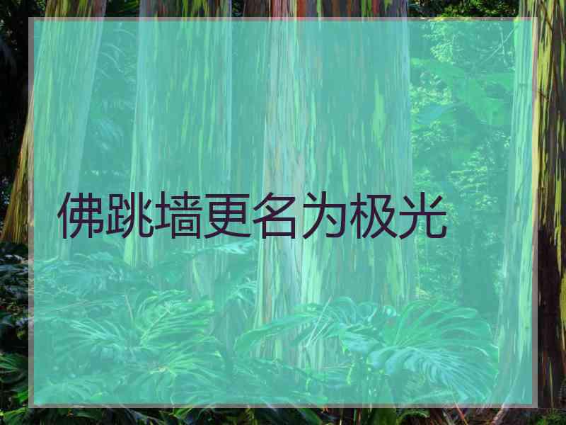 佛跳墙更名为极光