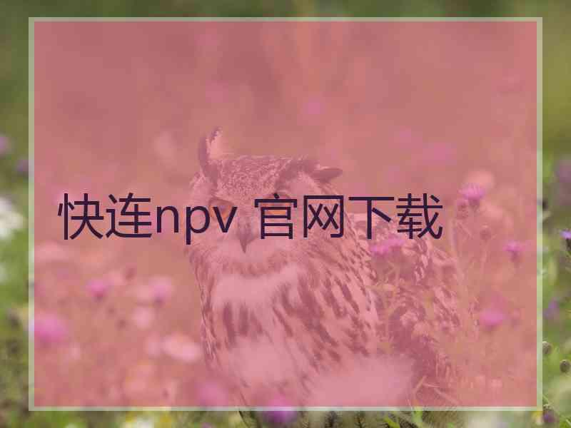 快连npv 官网下载