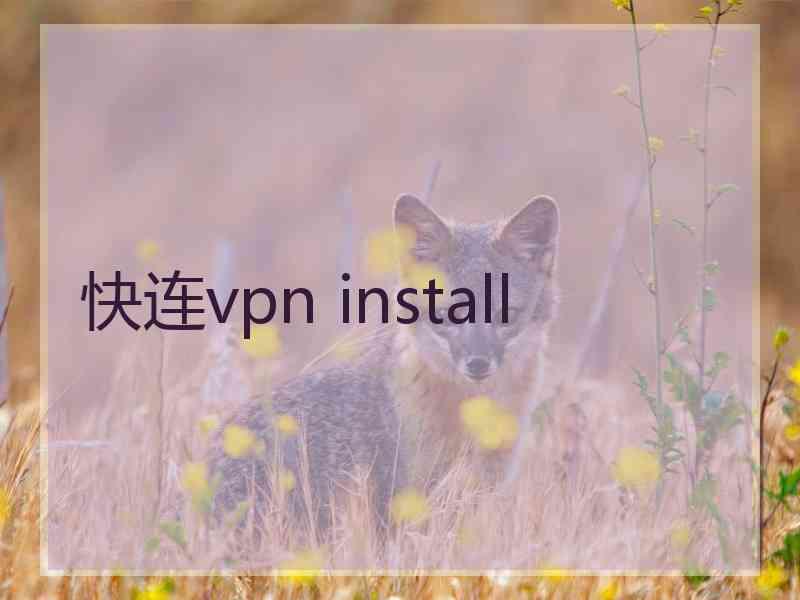 快连vpn install