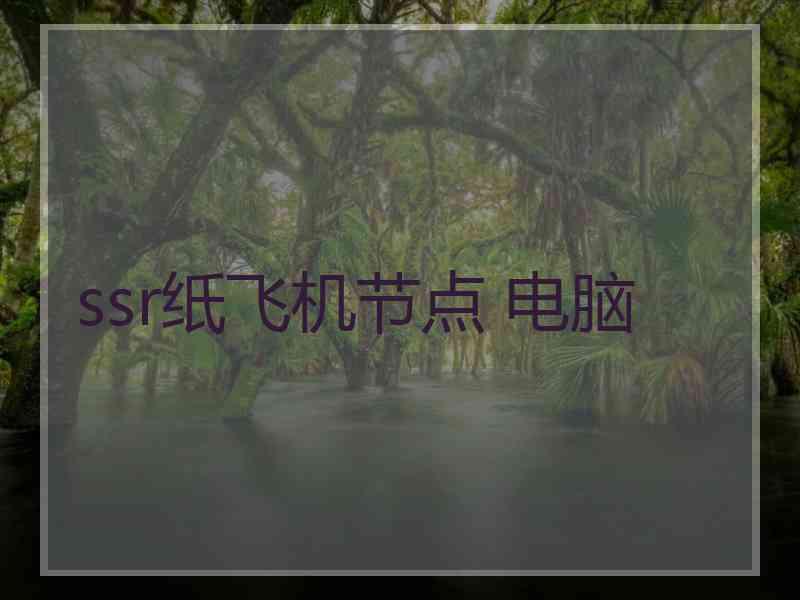 ssr纸飞机节点 电脑