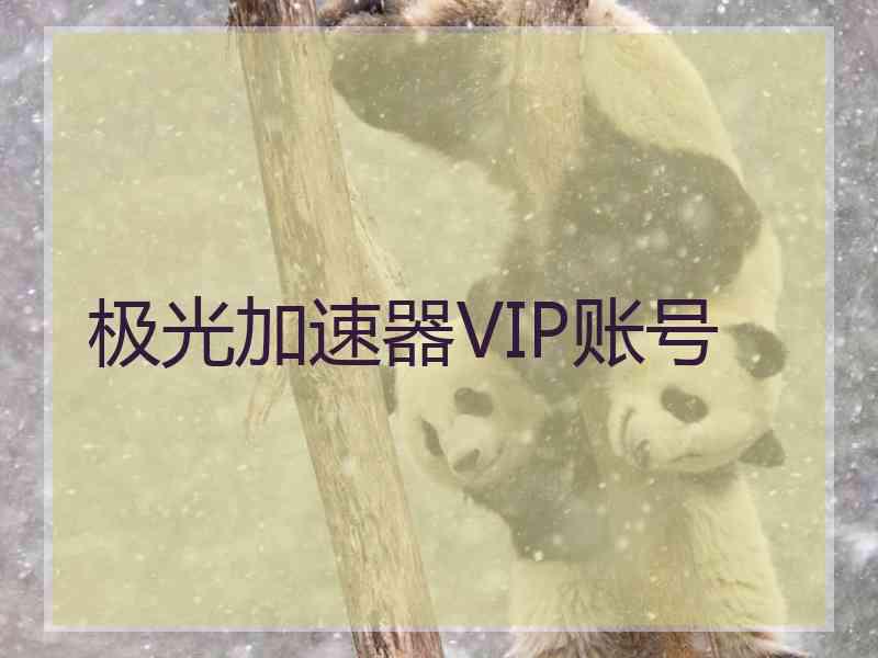 极光加速器VIP账号