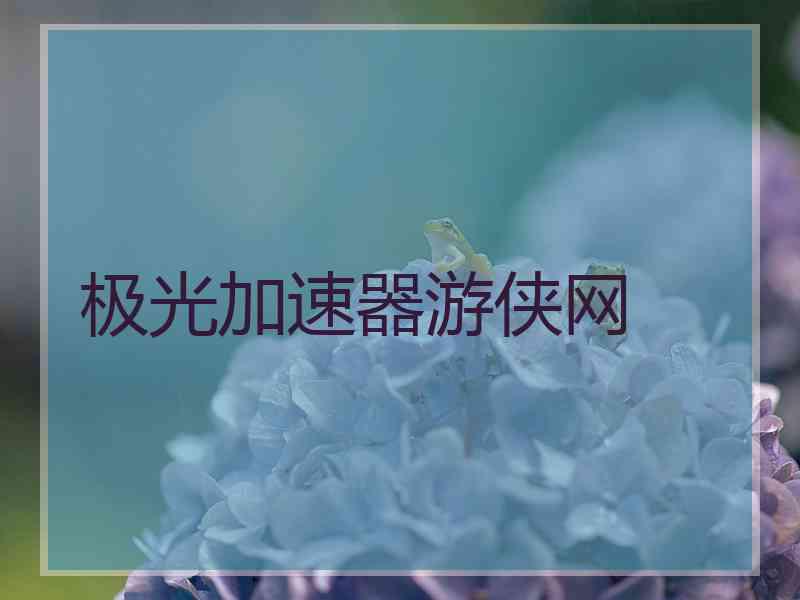 极光加速器游侠网