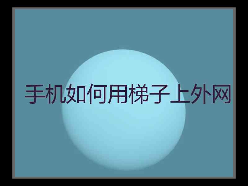 手机如何用梯子上外网