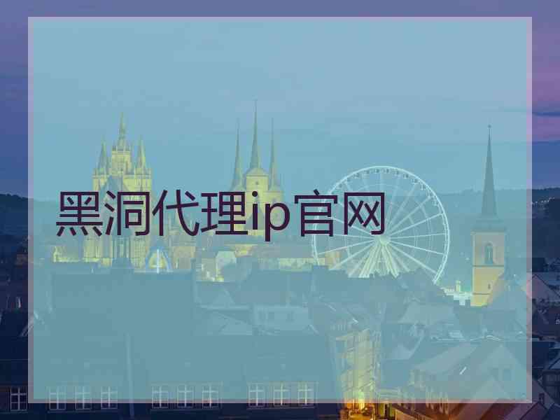 黑洞代理ip官网