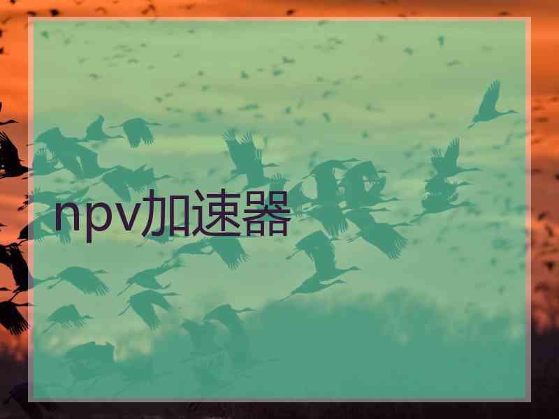 npv加速器