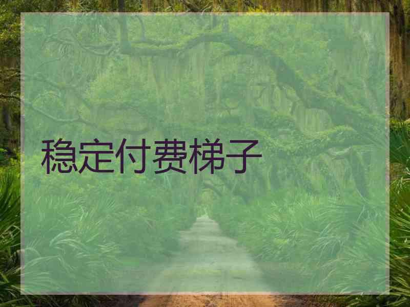 稳定付费梯子