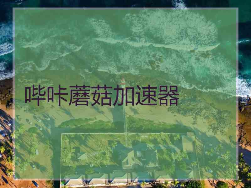 哔咔蘑菇加速器