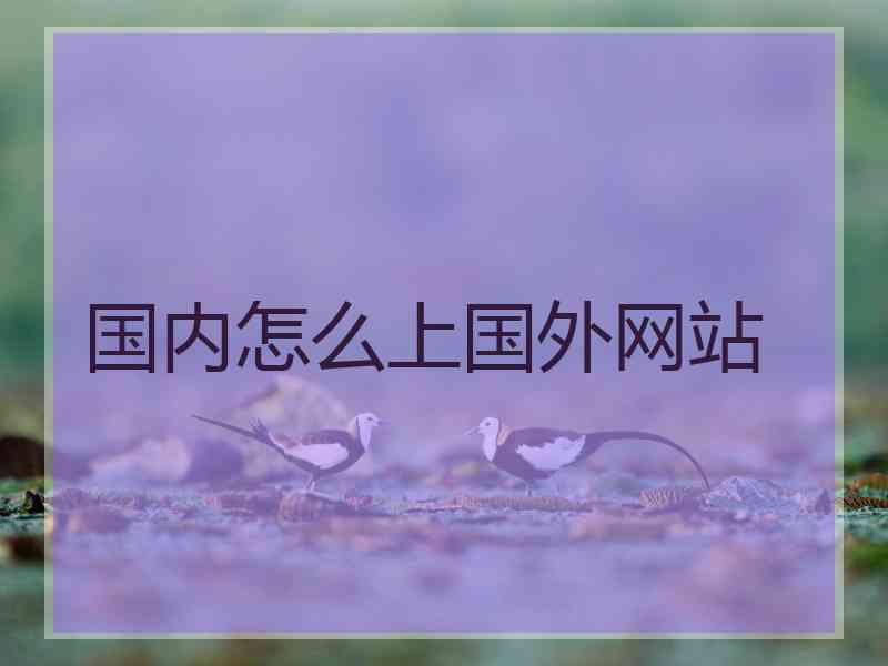 国内怎么上国外网站