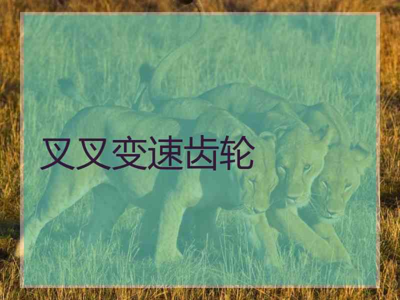 叉叉变速齿轮