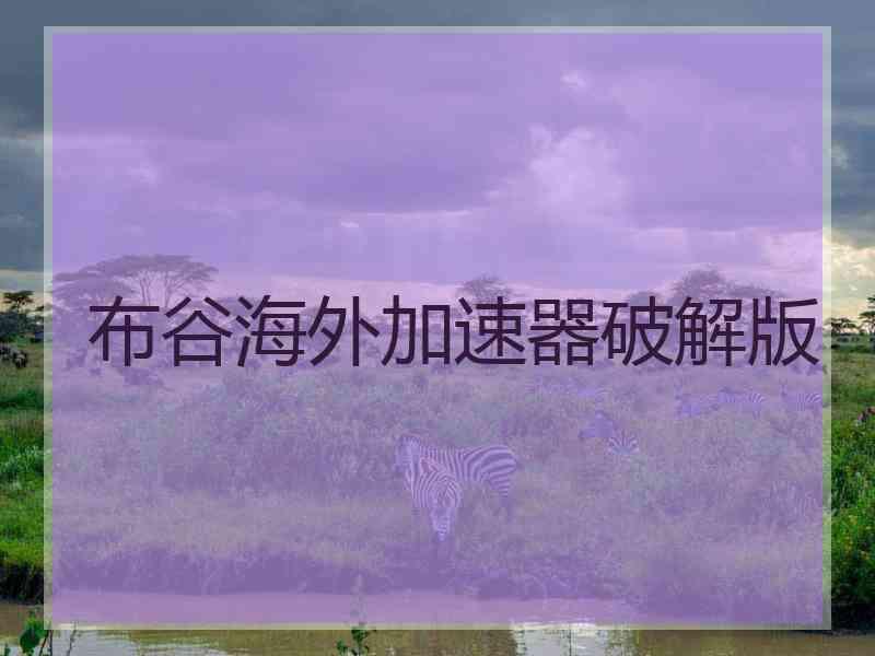 布谷海外加速器破解版