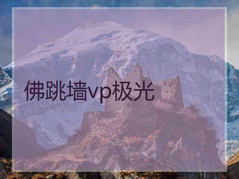 佛跳墙vp极光