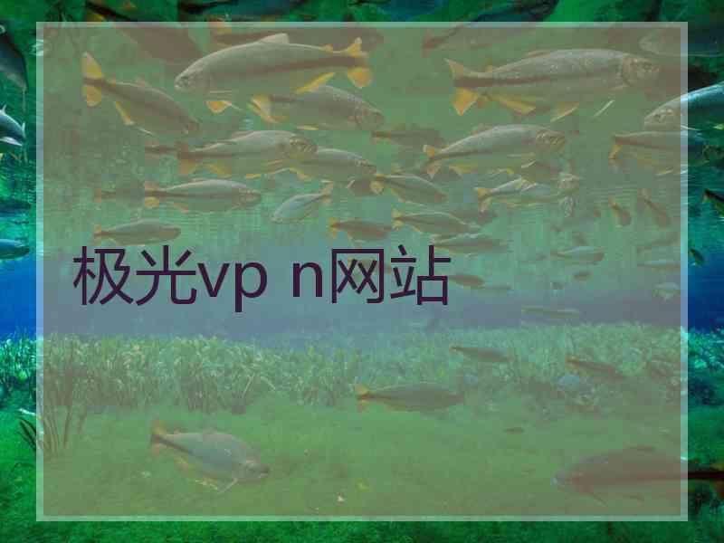 极光vp n网站