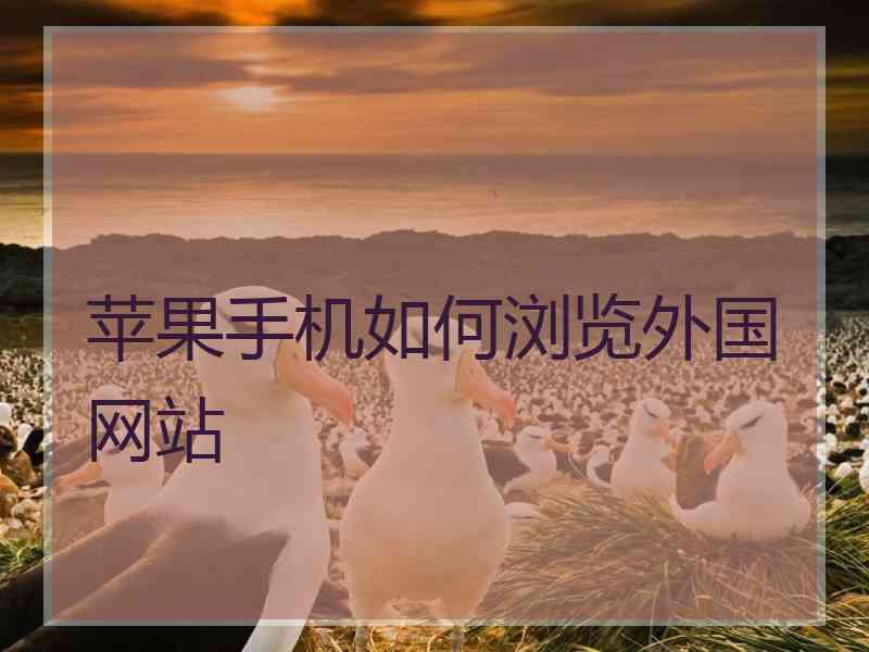 苹果手机如何浏览外国网站