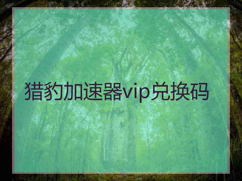 猎豹加速器vip兑换码
