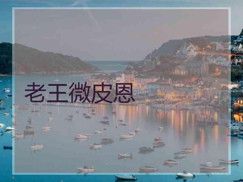 老王微皮恩