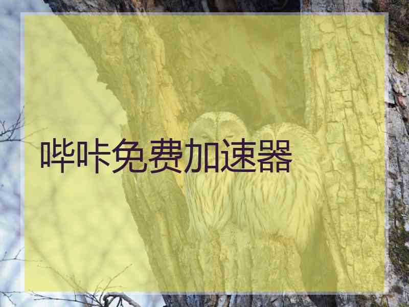 哔咔免费加速器
