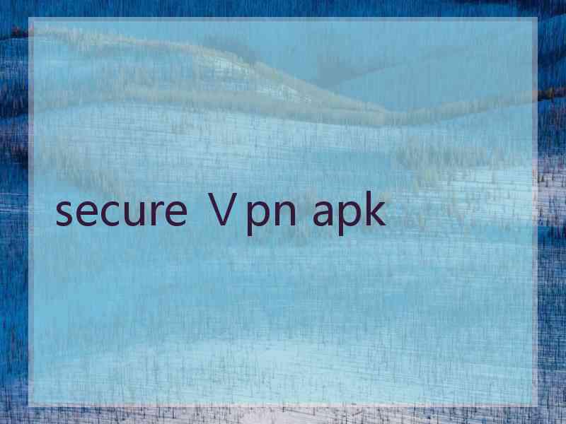 secure Ⅴpn apk