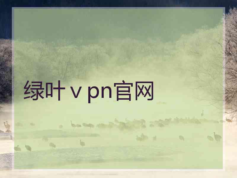 绿叶ⅴpn官网