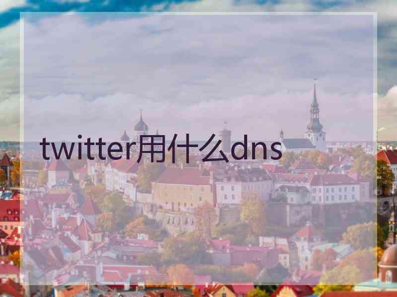 twitter用什么dns