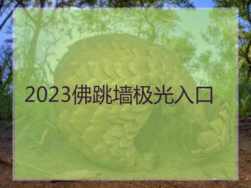 2023佛跳墙极光入口