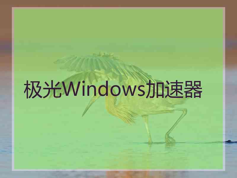 极光Windows加速器