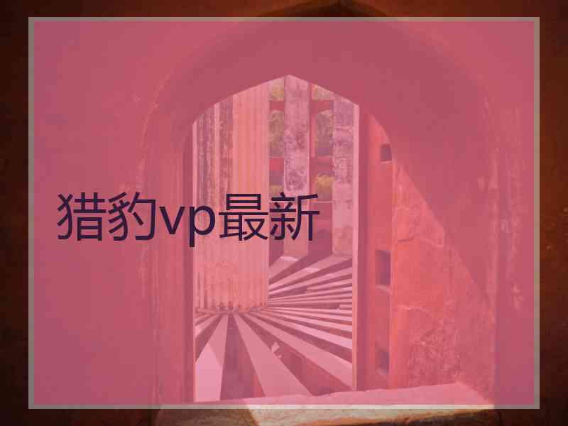 猎豹vp最新