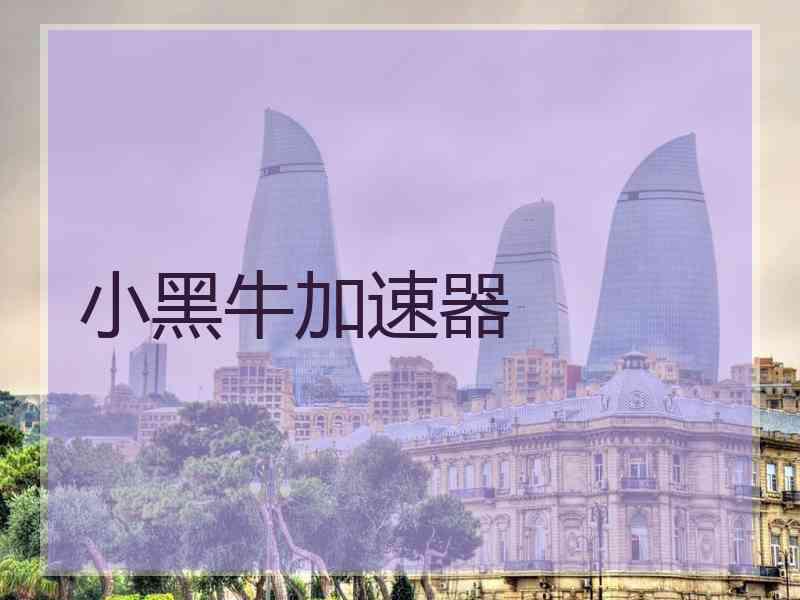 小黑牛加速器