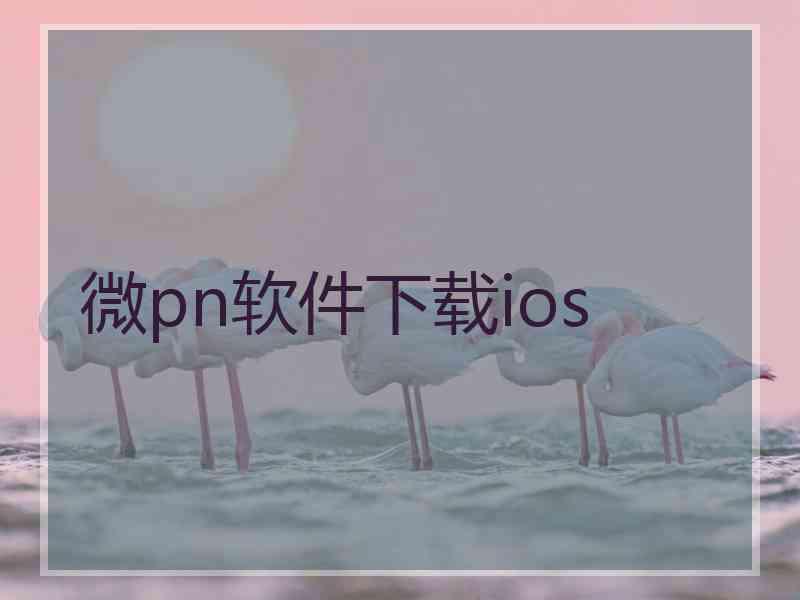微pn软件下载ios