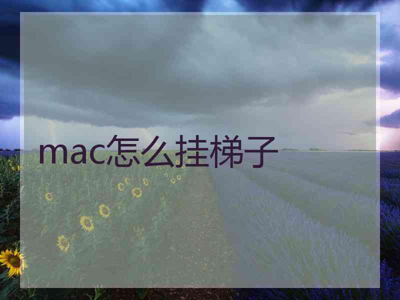 mac怎么挂梯子