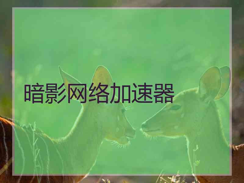 暗影网络加速器