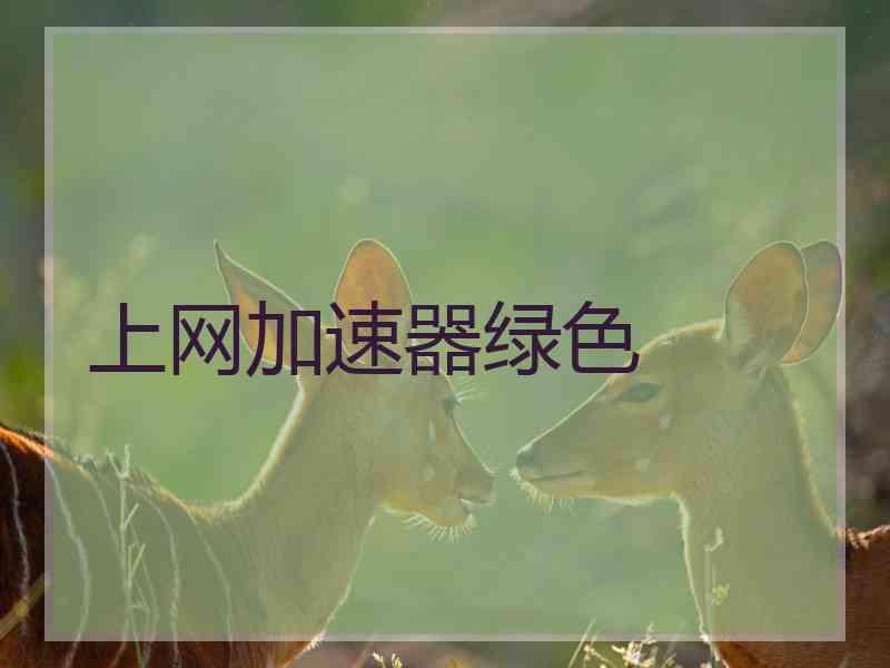 上网加速器绿色