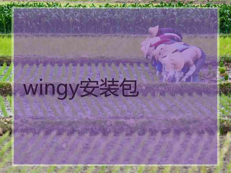 wingy安装包