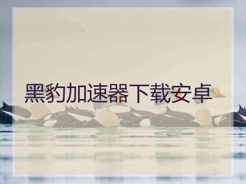 黑豹加速器下载安卓