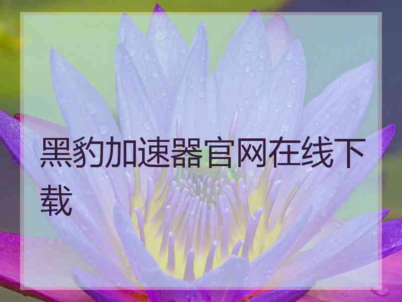 黑豹加速器官网在线下载
