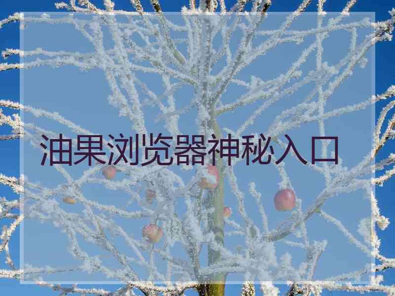 油果浏览器神秘入口