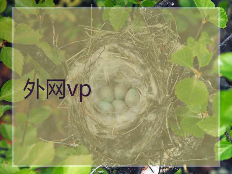 外网vp