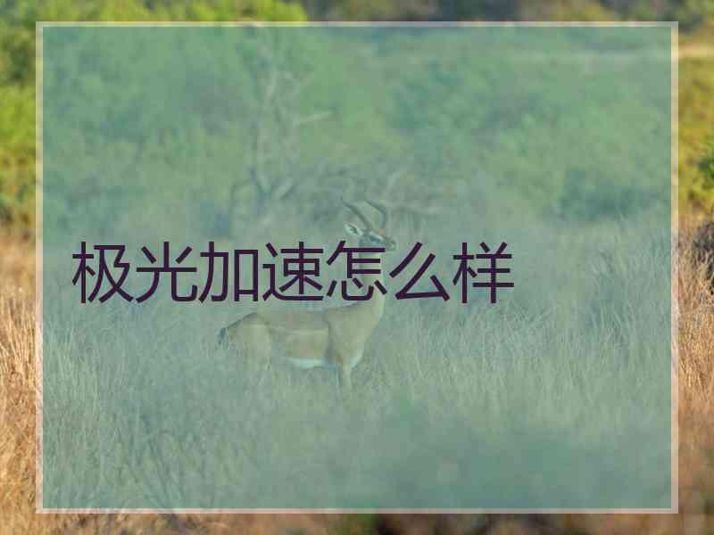 极光加速怎么样