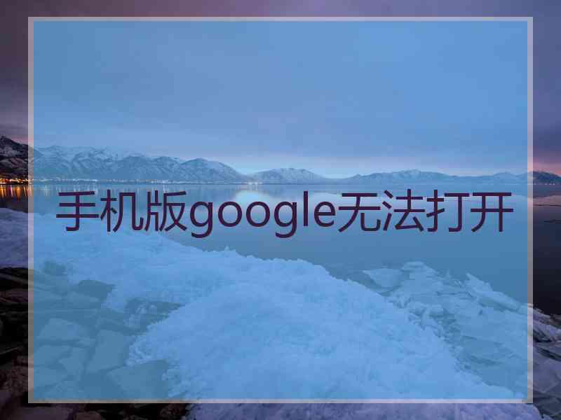 手机版google无法打开