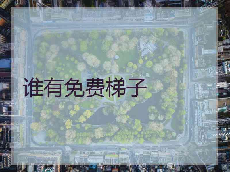 谁有免费梯子
