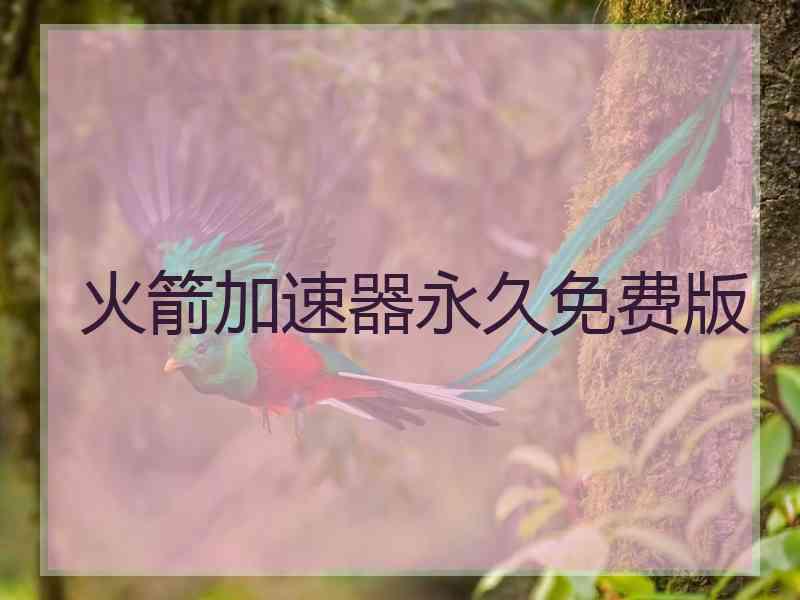 火箭加速器永久免费版