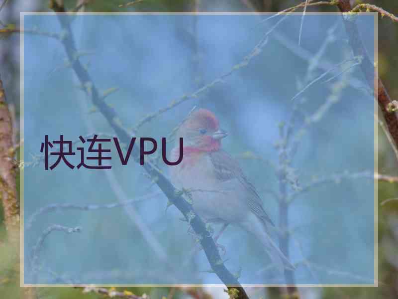快连VPU