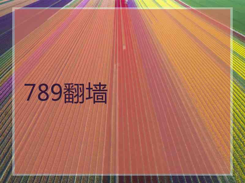 789翻墙