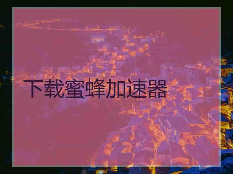 下载蜜蜂加速器