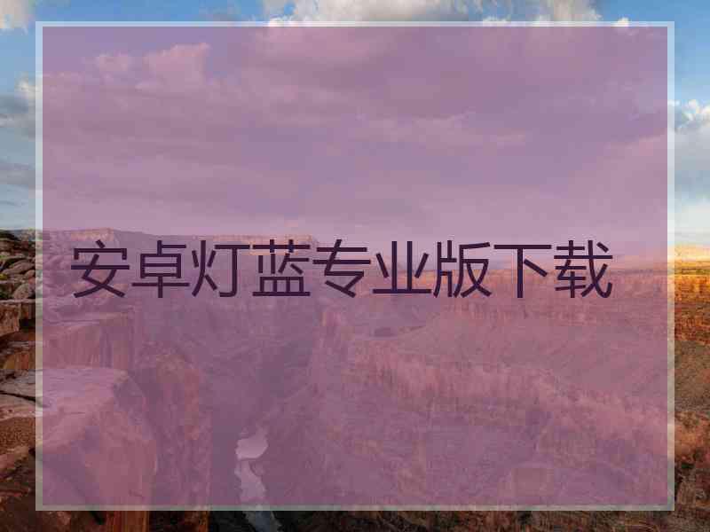 安卓灯蓝专业版下载